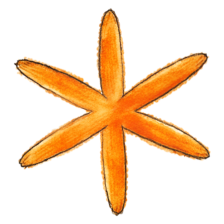 An orange asterisk symbol with a textured, hand-drawn style.