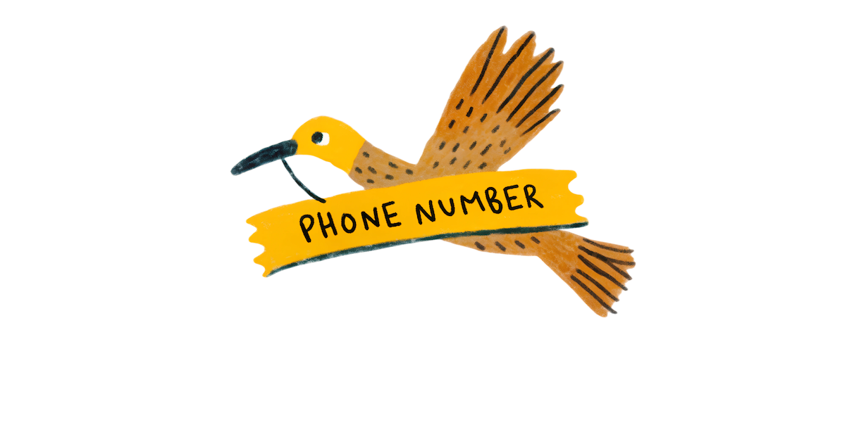 Illustration of a bird carrying a phone number