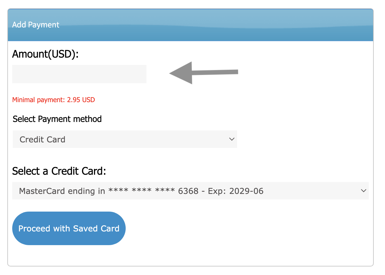 Interface showing how to add funds using a previously saved credit card