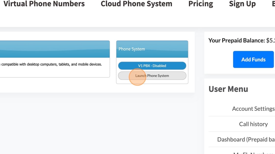 Phone System Panel showing the Launch Phone System button