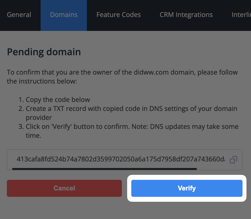 Domain verification process showing TXT record instructions